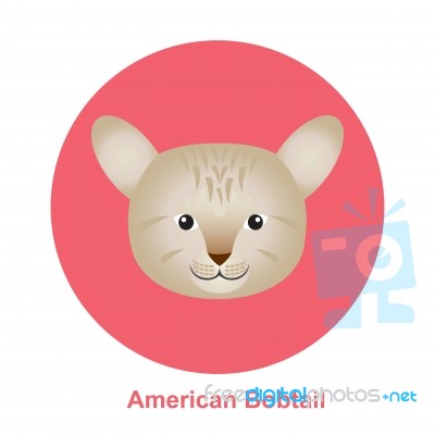 Cartoon American Bob Tail Cat In Circle  Illustration Stock Image