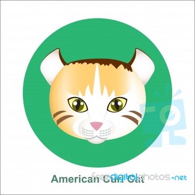 Cartoon American Curl Cat In Circle  Illustration Stock Image