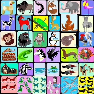 Cartoon Animals From A To Z Stock Image