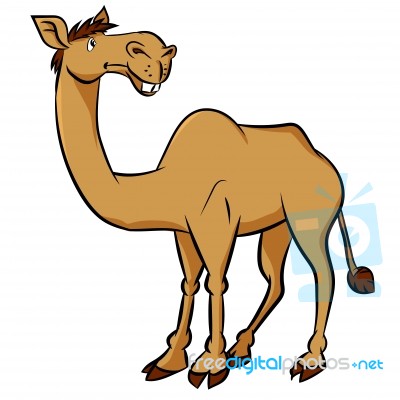 Cartoon Camel -  Clipart Illustration Stock Image