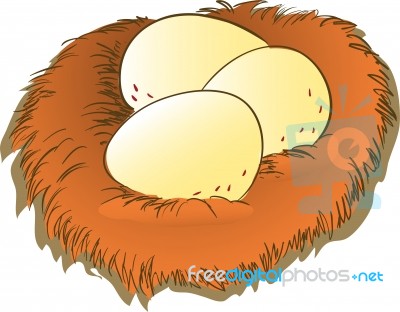 Cartoon Egg And Nest Clipart -  Illustration Stock Image