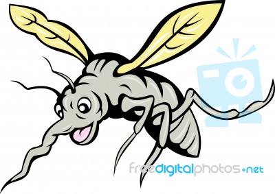 Cartoon Mosquito Flying Stock Image