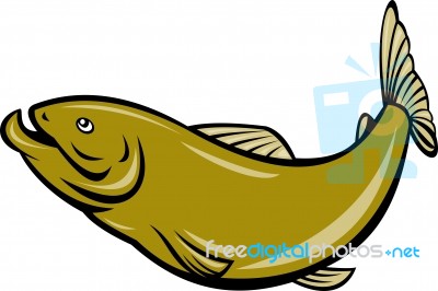 Cartoon Trout Fish Jumping Side Stock Image