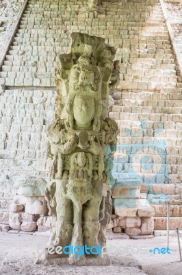 Carved Stones At The  Mayan Ruins In Copan Ruinas, Honduras Stock Photo