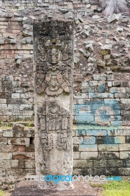 Carved Stones At The  Mayan Ruins In Copan Ruinas, Honduras Stock Photo