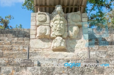 Carved Stones At The  Mayan Ruins In Copan Ruinas, Honduras Stock Photo