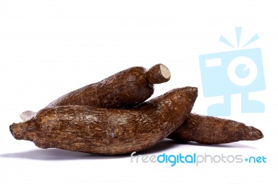 Cassava Root Stock Photo