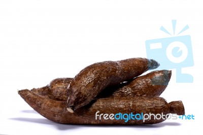 Cassava Root Stock Photo