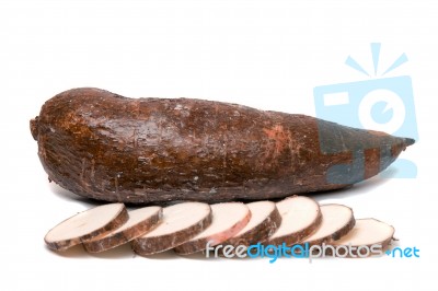 Cassava Root Isolated On A White Background Stock Photo