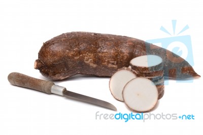 Cassava Root Isolated On A White Background Stock Photo