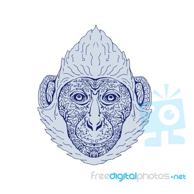 Cat Ba Langur Head Mandala Stock Image