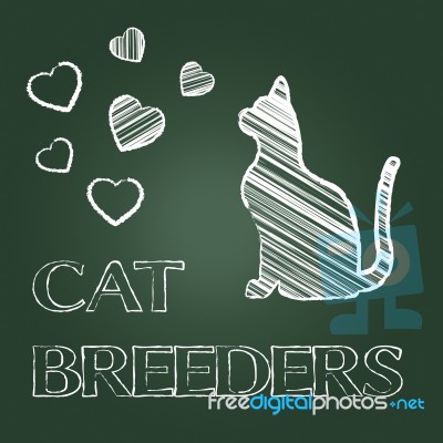 Cat Breeders Indicates Pet Offspring And Breeding Stock Image