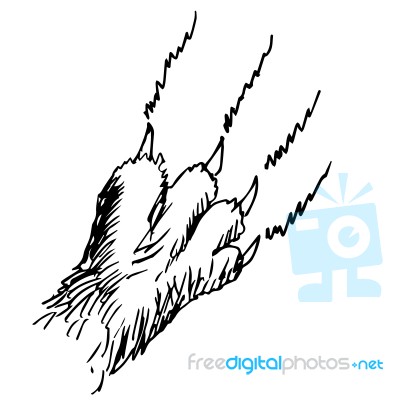 Cat Claw Doodle Hand Drawn Stock Image