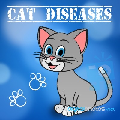 Cat Diseases Indicates Felines And Puss Illness Stock Image