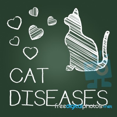 Cat Diseases Indicates Puss Kitten And Kitty Stock Image