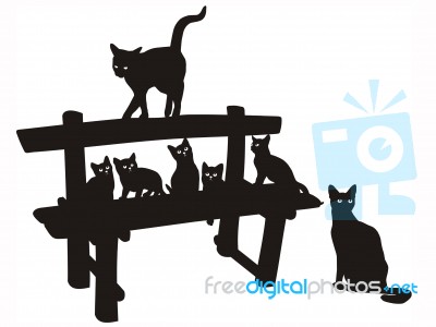 Cat Family Stock Image