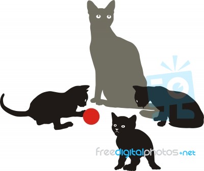 Cat Family At Play Stock Image