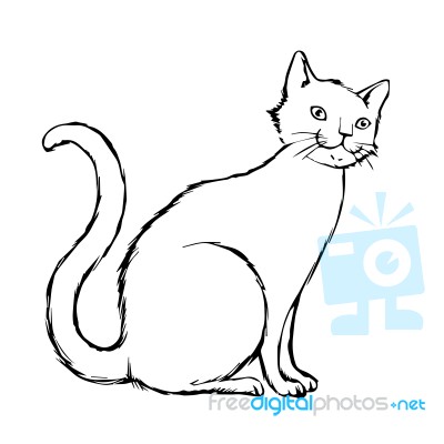 Cat Hand Drawn Stock Image