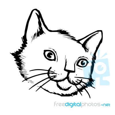 Cat Hand Drawn Stock Image