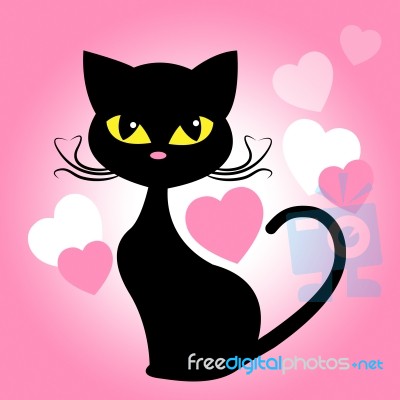 Cat Hearts Means Valentines Day And Cats Stock Image