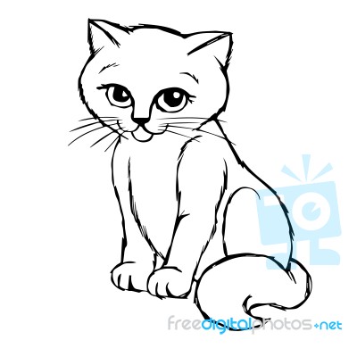 Cat Kitten Hand Drawn Stock Image