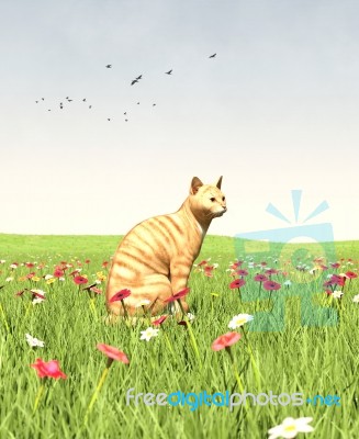 Cat Sitting In Green Fields Stock Image