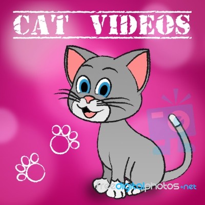 Cat Videos Represents Audio Visual And Cats Stock Image