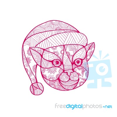 Cat Wearing Santa Hat Mandala Stock Image