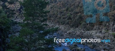 Cataract Gorge During The Day Stock Photo