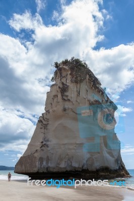 Cathedral Cove Beach Near Hahei In New Zealand Stock Photo