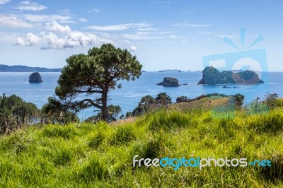 Cathedral Cove Near Hahei In New Zealand Stock Photo