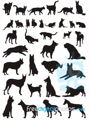 Cats And Dogs Stock Image