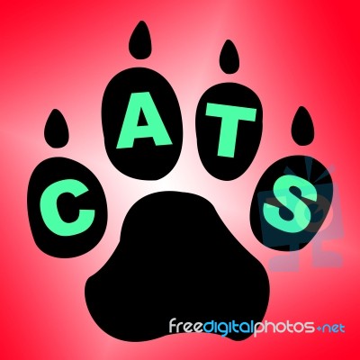 Cats Paw Shows Pet Services And Feline Stock Image