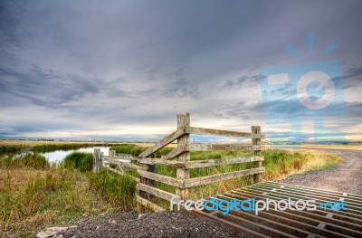 Cattle Grid Stock Photo