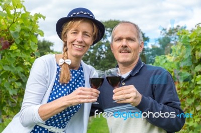 Caucasian Couple Toasting With Glasses Of Red Wine In Vineyard Stock Photo