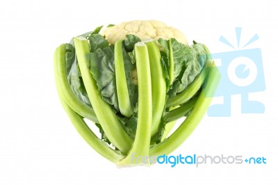 Cauliflower On White Background Stock Photo