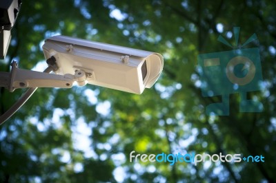 Cctv Camera In Park Stock Photo