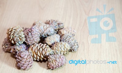 Cedar Cones On The Floor Stock Photo