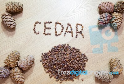 Cedar Cones With Nuts Stock Photo