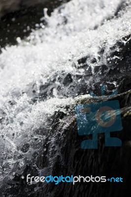 Cedar Creek In Samford, Queensland.  Stock Photo