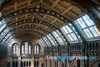 Ceiling Detail Of The Natural History Museum In London Stock Photo