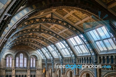 Ceiling Detail Of The Natural History Museum In London Stock Photo