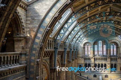 Ceiling Detail Of The Natural History Museum In London Stock Photo