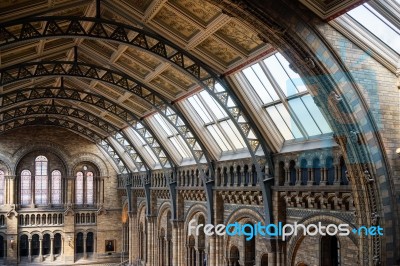 Ceiling Detail Of The Natural History Museum In London Stock Photo