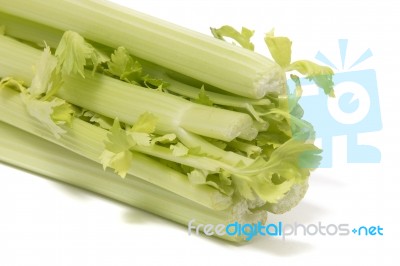 Celery Vegetable On White Stock Photo