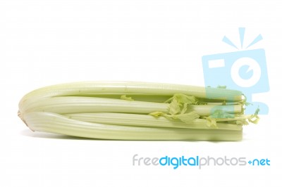 Celery Vegetable On White Stock Photo