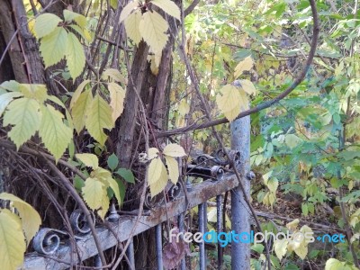 Cemetery Architecture, Monuments, Tombstones And Graves Stock Photo