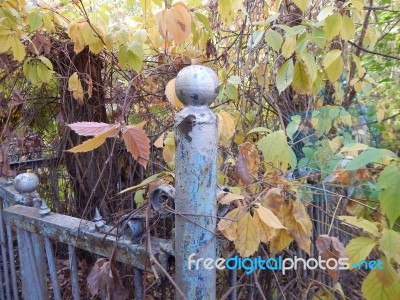 Cemetery Architecture, Monuments, Tombstones And Graves Stock Photo