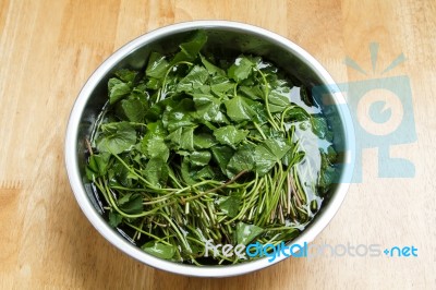 Centella Asiatica Stock Photo