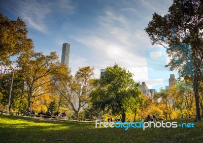 Central Park At Sunny Day, New York City Stock Photo